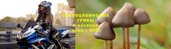 бутират Алексин