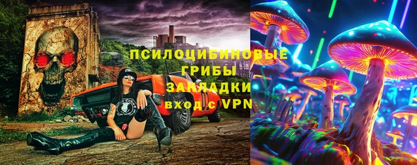 дмт Алзамай