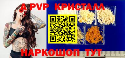 спиды Донской