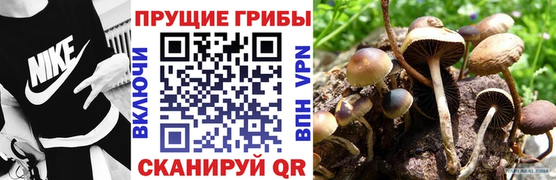 Галлюциногенные грибы мухоморы  наркота  omg зеркало  Лесосибирск 