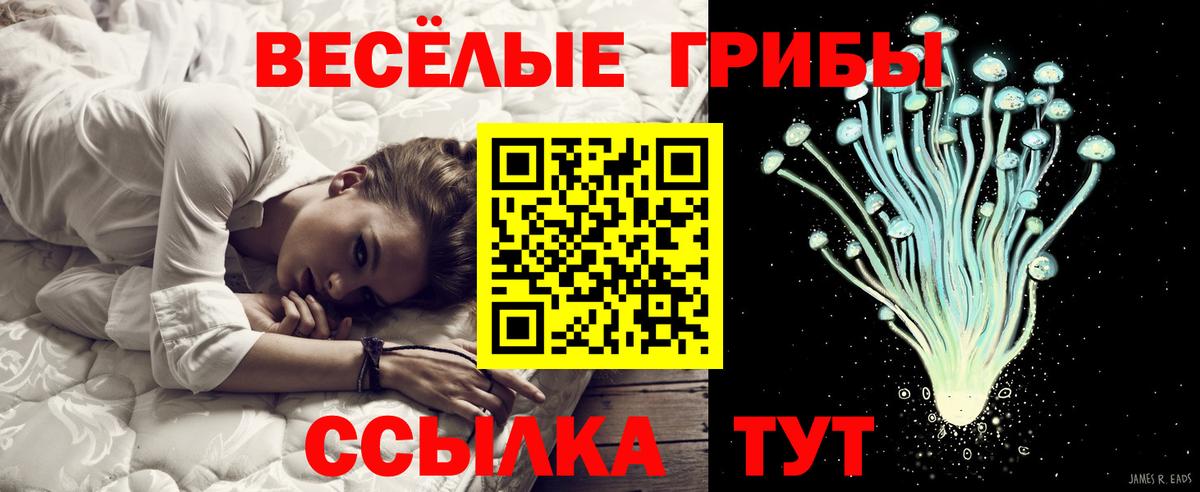Псилоцибиновые грибы прущие грибы  Галлюциногенные грибы мицелий  Вход с VPN  купить закладку  Лесосибирск 