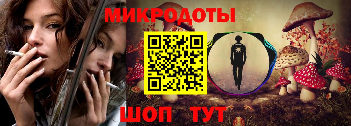 Псилоцибиновые грибы Psilocybe Лесосибирск