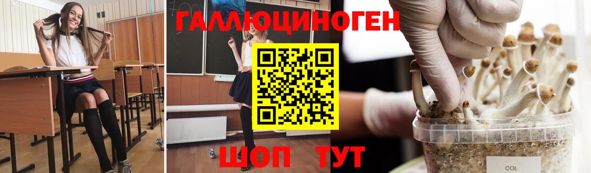 Галлюциногенные грибы GOLDEN TEACHER  Лесосибирск 